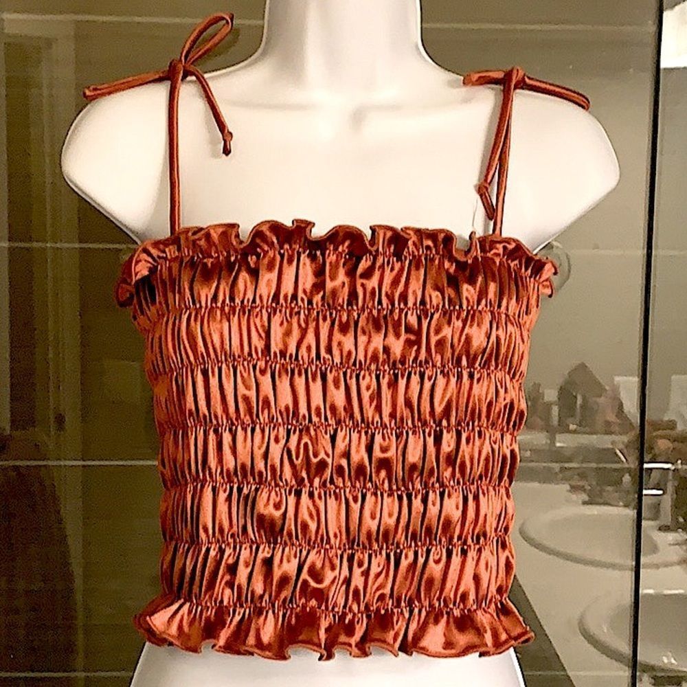 Fashion Nova • Smock Cropped Top • Rust - Picture 5 of 5